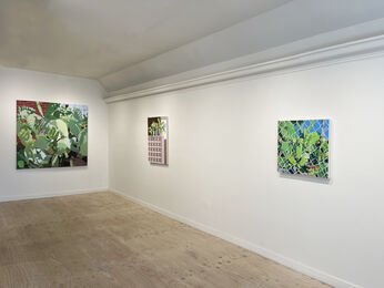 Overgrowth, installation view