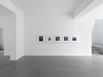 Robert Mapplethorpe, installation view