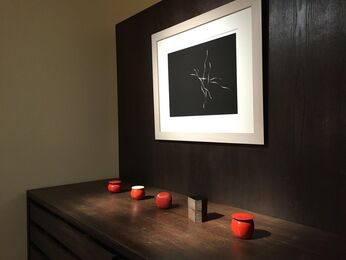 An Exhibition of Lacquer Works by Jihei Murase Lacquer Forms : Modern Negoro, installation view
