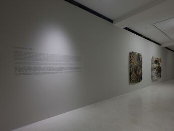KOUR POUR and SU DONGPING, two solo exhibitions, installation view