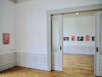 The Last of the English Roses, installation view