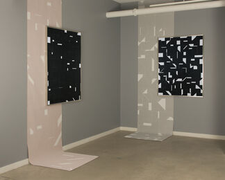 John Monteith 'At Night All Cats Are Grey', installation view