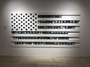Yuri Catania, ‘American Flag Anthology One’, 2016