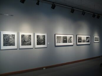 Winter Solos I, installation view