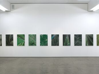 COSAR HMT at Art Cologne 2015, installation view