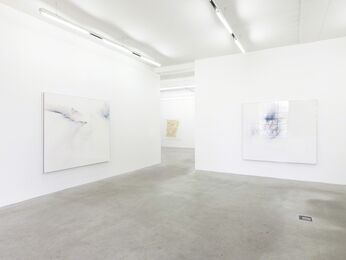 Thilo Heinzmann: When a mule runs away with the World, installation view