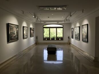 Contemporary Tranquility, installation view