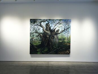 Chester Arnold and Dan Douke, installation view