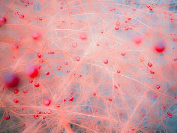 Mai Ito, ‘Embrace’, 2023