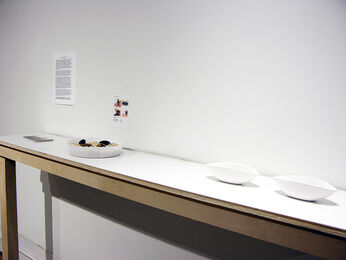 Carried on Both Sides: Encounter Two, installation view