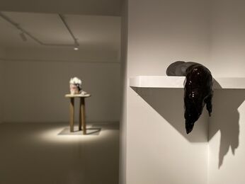 EOLGUL - Faces, installation view