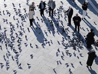 Rosalyn Bodycomb, ‘Piazza San Marco’, 2008