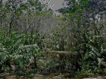 Stephan Ach, ‘Visible Calm I’, 2013