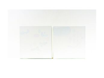 Florencia Walter, ‘S/T de Flota’, 2019