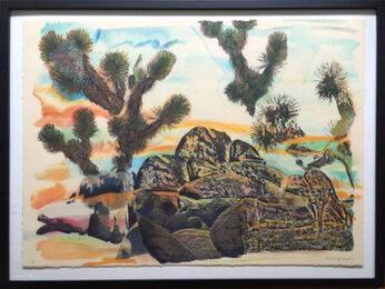 Heidi Mage Lloyd, ‘Joshua Rocks’, 2010