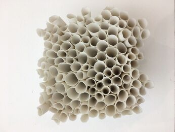 Valéria Nascimento, ‘Coral Cube’, 2016