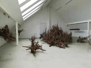 ROOTS by Danielius Sodeika, installation view