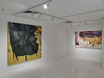 Topography of Hybrid Imagery – A Duo Exhibition by Delia and Milenko Prvacki, installation view