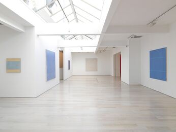 Yuko Shiraishi 'Floworld', installation view