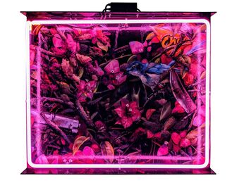 Patrick Martinez, ‘Bougainvillea Stash Spot’, 2015