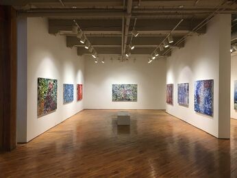 Niam Jain: Solo Exhibition, installation view