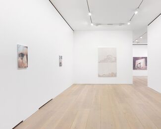 Luc Tuymans: The Shore, installation view