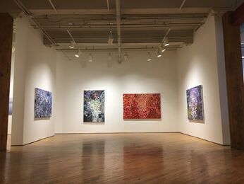 Niam Jain: Solo Exhibition, installation view