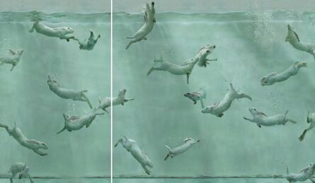 Zhou Hongbin, ‘Aquarium 26 (diptych) ’, 2014