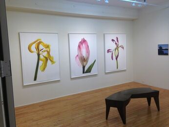 Select 3, installation view