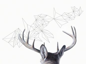 Jen Marie Zeleznak, ‘Transmission From the Stars’, 2017