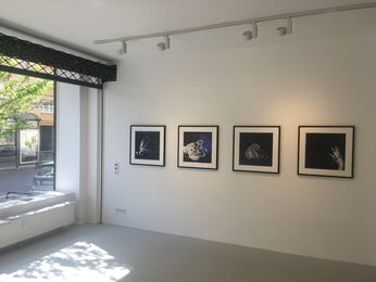 Liu Xia, With my eyes closed, installation view