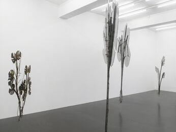 Julius von Bismarck | Talking To Thunder, installation view