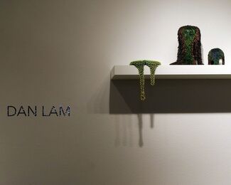 Dan Lam, installation view
