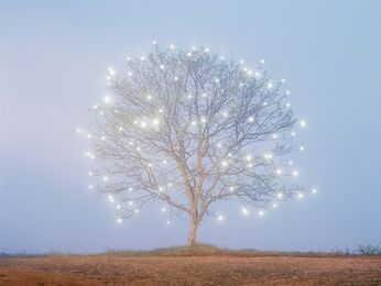 Lee Jeonglok, ‘Tree of Life #1’, 2007