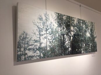 KATE SHERMAN - FOREST, installation view