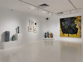 Topography of Hybrid Imagery – A Duo Exhibition by Delia and Milenko Prvacki, installation view