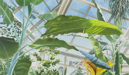 Ben Norris, ‘Brooklyn Botanical Garden No. 2: Greenhouse II’, 1991