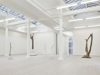 Giuseppe Penone: Fui, Sarò, Non Sono (I was, I will be, I am not), installation view