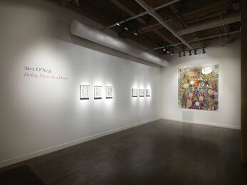 Alex O'Neal: Hiding Places in a Dream, installation view