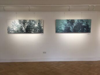 KATE SHERMAN - FOREST, installation view