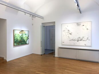 Max Weiler - The late 1970s, installation view