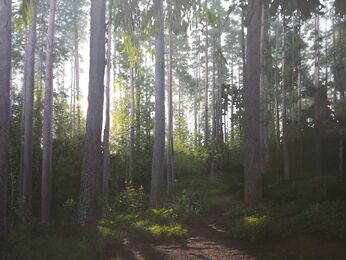 Roh Hyeun woo, ‘Untitled’, 2018