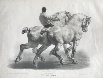 Achille-Louis-Joseph Sirouy after Rosa Bonheur (French, Bordeaux 1822–1899 Thomery), ‘Cours D’Etudes D’Animaux, plate 12’, 1859