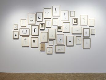 Rachel Goodyear: Muzzles and Murmurs, installation view