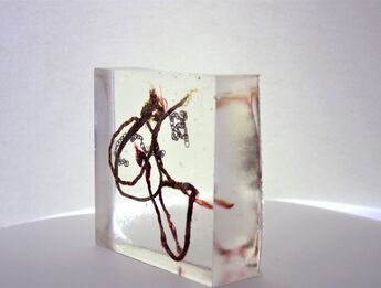 Sarah Kanennin, ‘Harry Potter Was My First Found Family (I Swear I'm not a Gryffindor)’, 2021