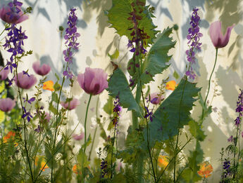 Elizabeth Chiles, ‘Time Being #9’, 2021