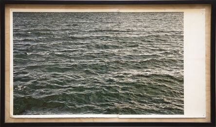 Doug & Mike Starn, ‘Seascape 3L’, 2010-20