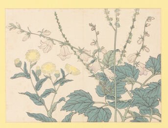 Sakai Hoitsu, ‘Autumn Flowers’, 1908
