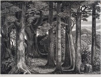Monica Poole, ‘Edge of the Wood’, circa 1977-93