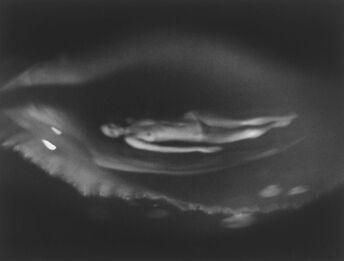 Judita Csáderová, ‘No title, from the series Reflections - Awakening’, 1974-Exclusive FOG Edition 2022